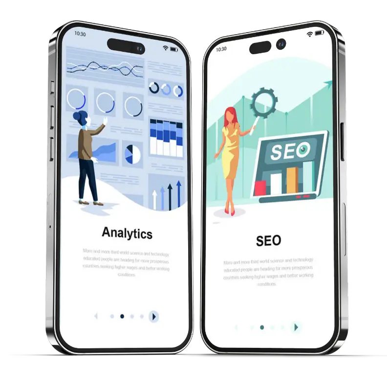 seoResultsPro